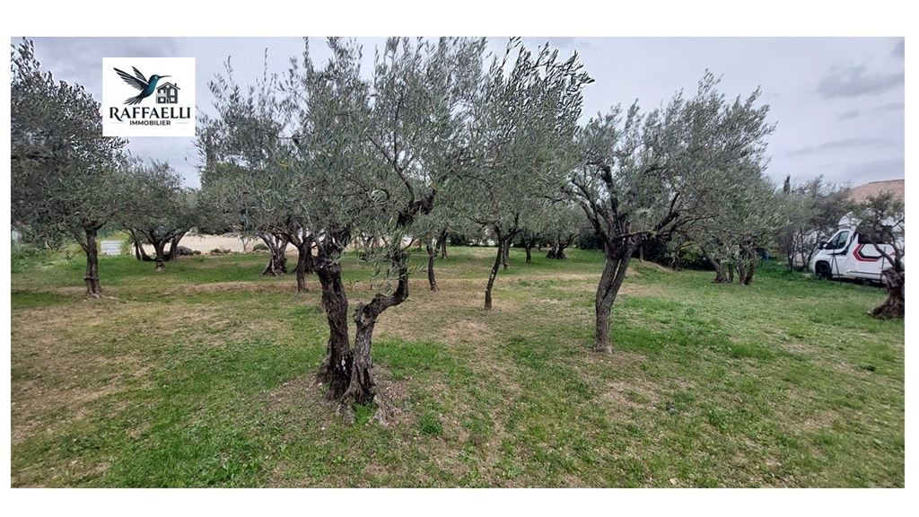 Terrain LORGUES (83510) RAFFAELLI IMMOBILIER