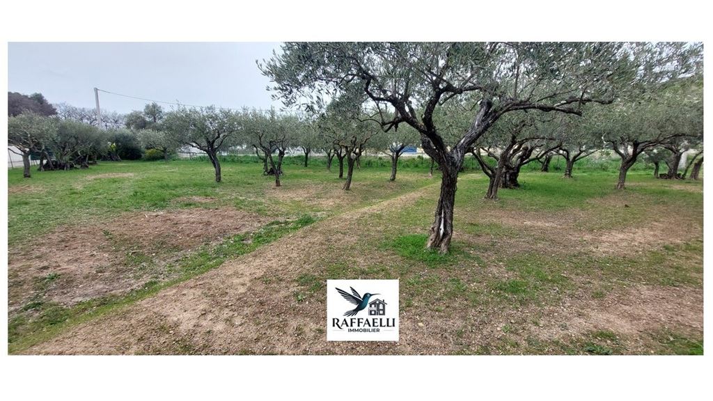Terrain LORGUES (83510) RAFFAELLI IMMOBILIER