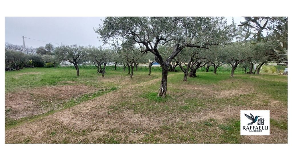 Terrain LORGUES (83510) RAFFAELLI IMMOBILIER
