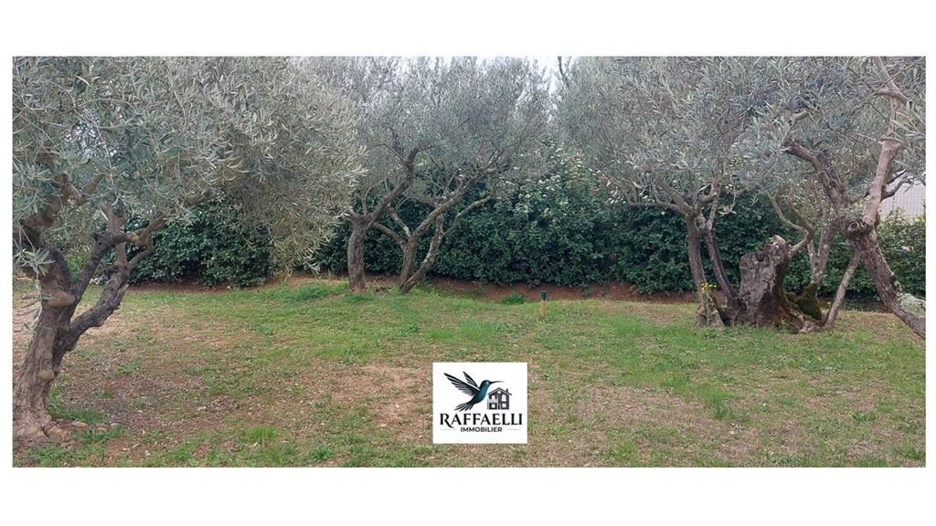 Terrain LORGUES (83510) RAFFAELLI IMMOBILIER