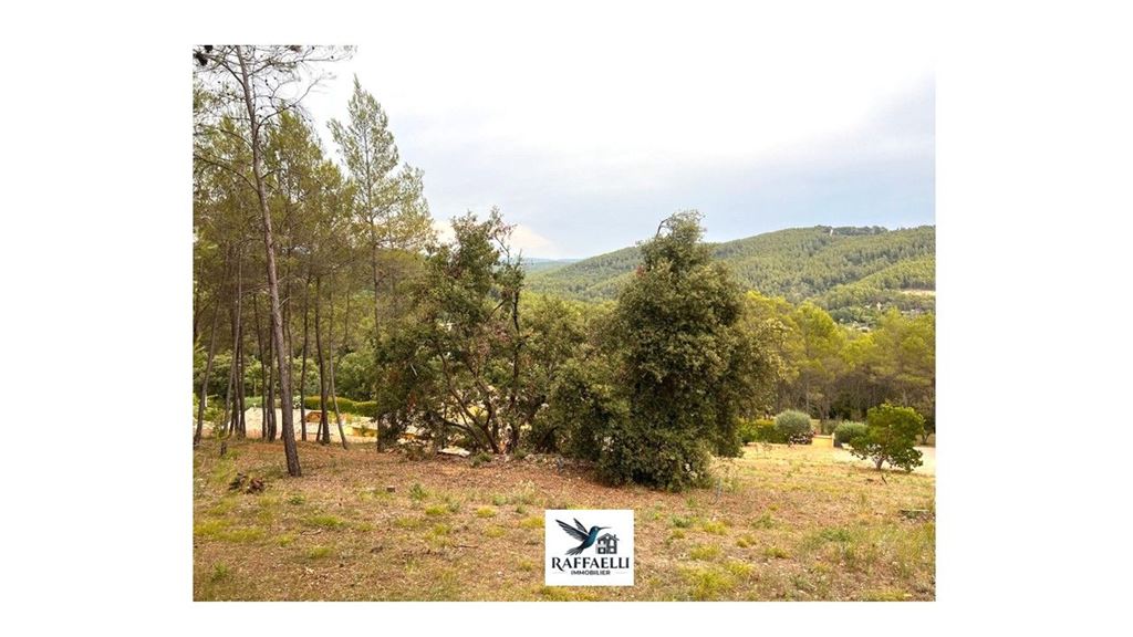 Terrain TARADEAU (83460) RAFFAELLI IMMOBILIER