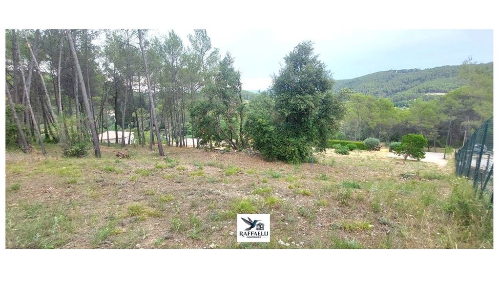 Terrain TARADEAU (83460) RAFFAELLI IMMOBILIER
