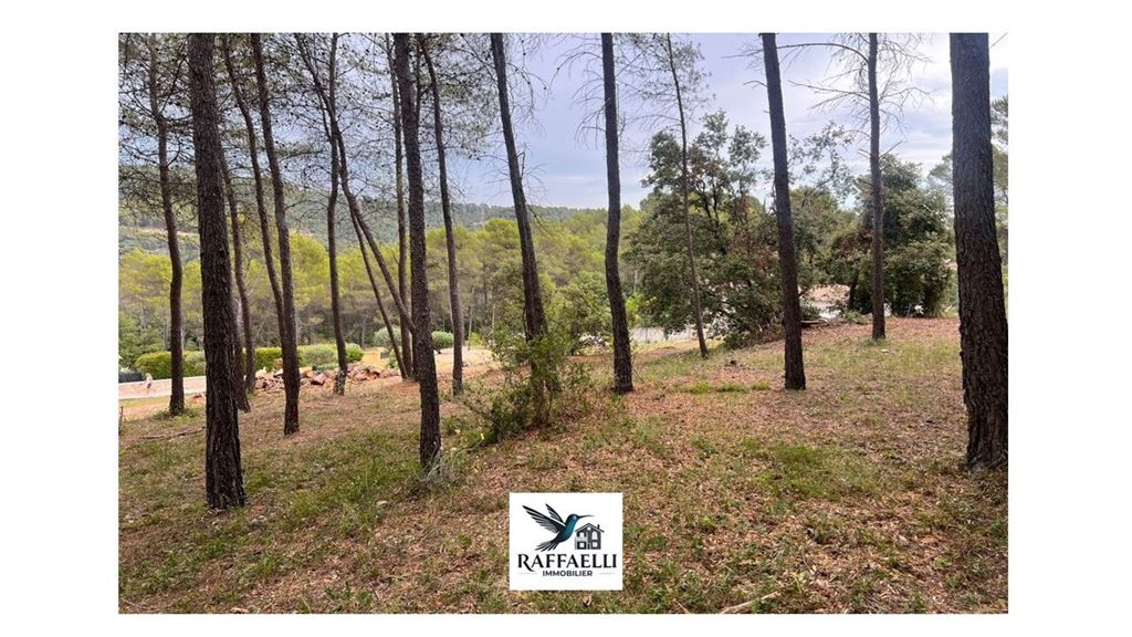 Terrain TARADEAU (83460) RAFFAELLI IMMOBILIER