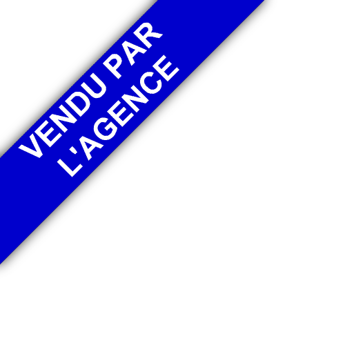 bandeau RAFFAELLI IMMOBILIER