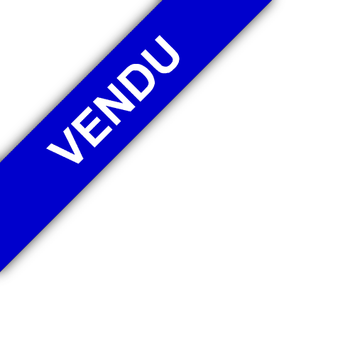 bandeau RAFFAELLI IMMOBILIER