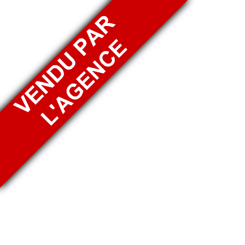 bandeau RAFFAELLI IMMOBILIER
