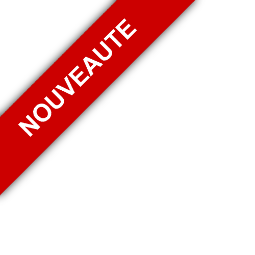 bandeau RAFFAELLI IMMOBILIER